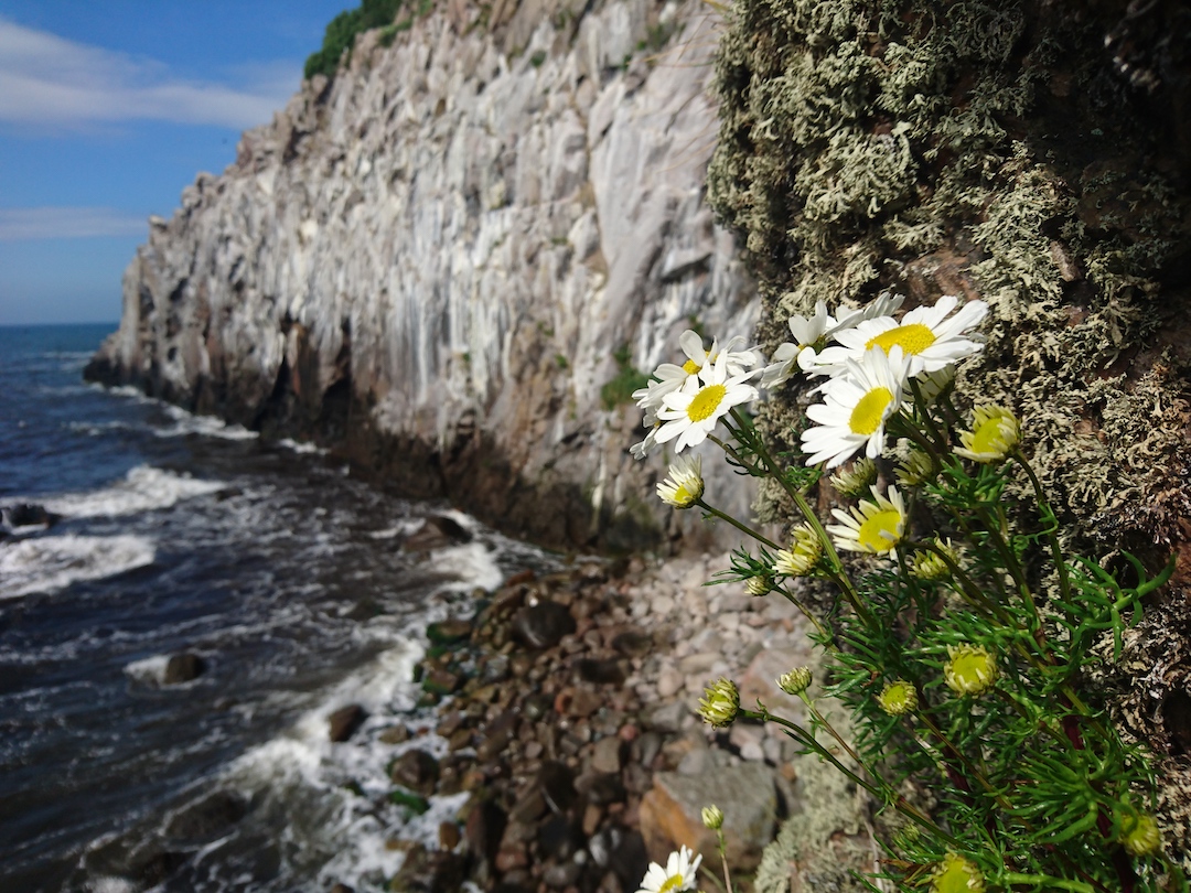 Cliffs