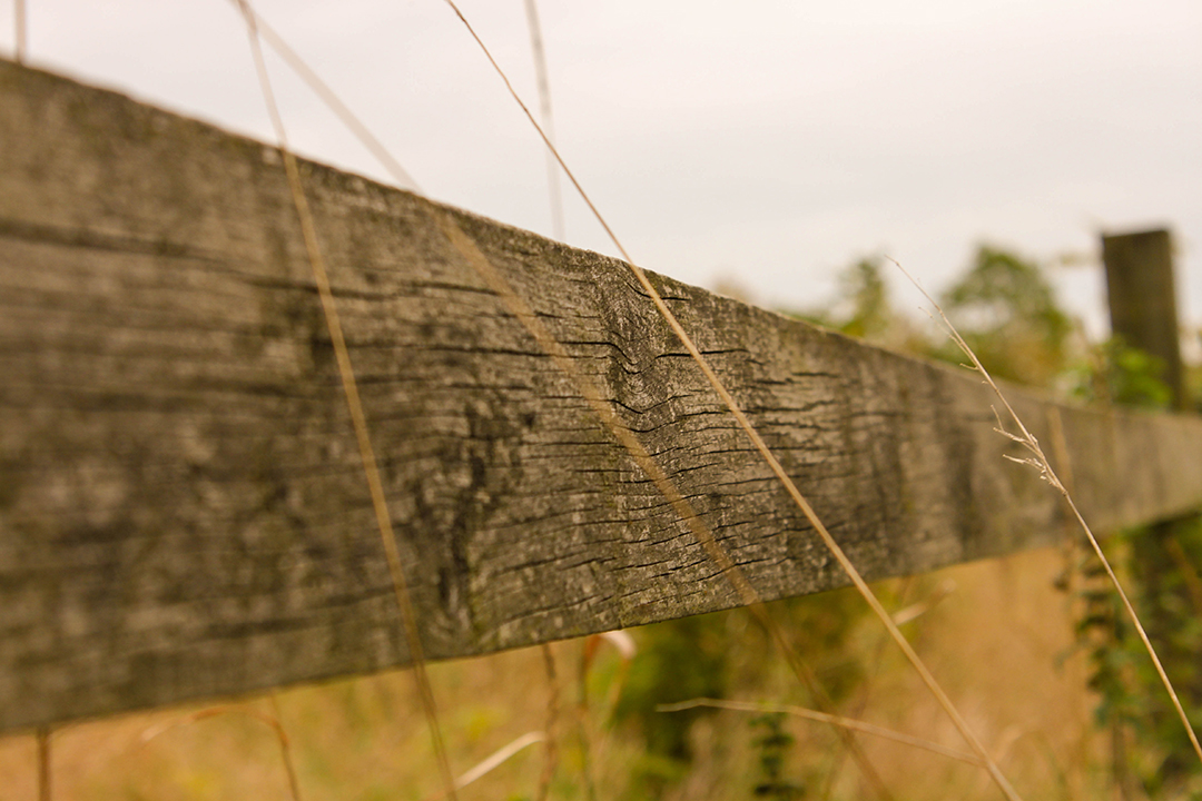 fence